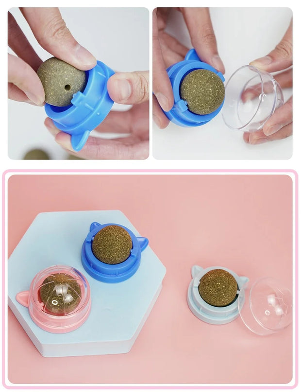 Rotating Cat Mint Ball