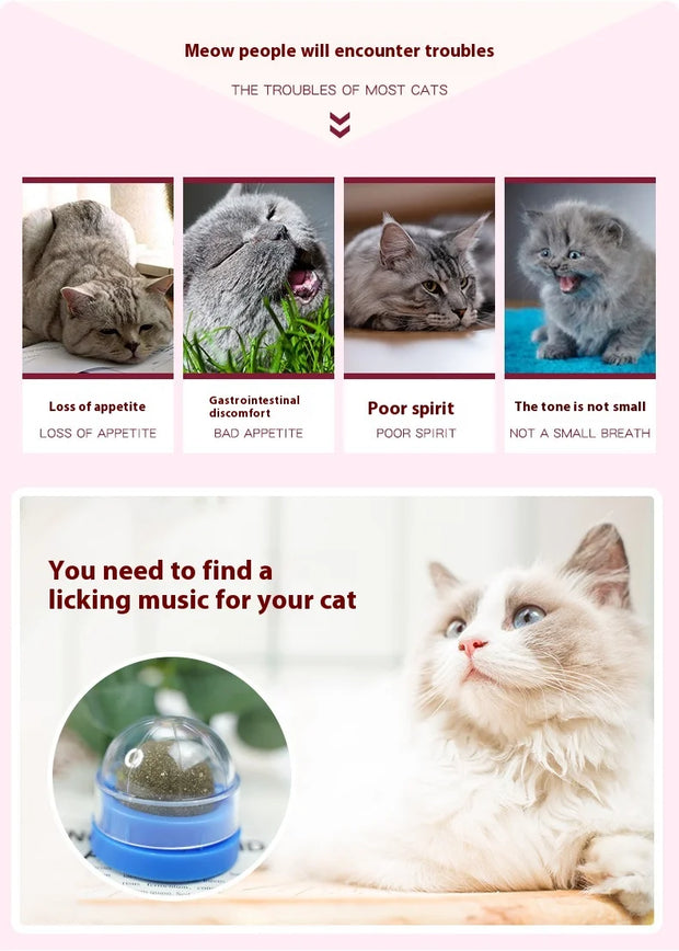 Rotating Cat Mint Ball