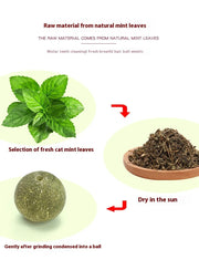 Rotating Cat Mint Ball