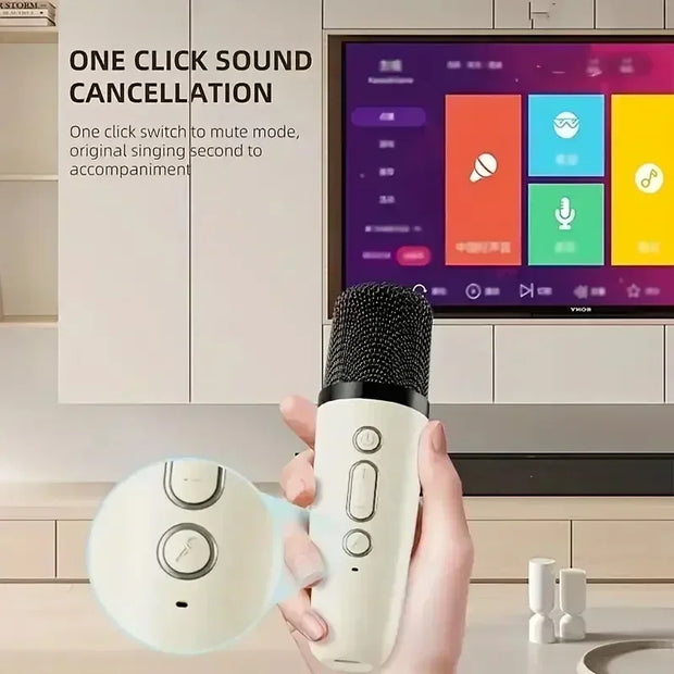 Bluetooth K12 Portable Karaoke Machine