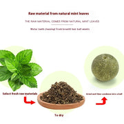 Rotating Cat Mint Ball