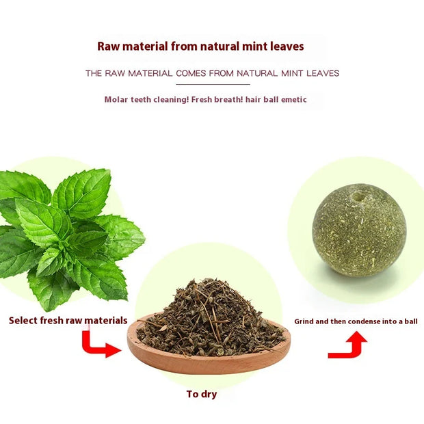 Rotating Cat Mint Ball
