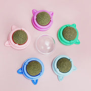Rotating Cat Mint Ball