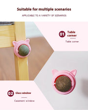 Rotating Cat Mint Ball